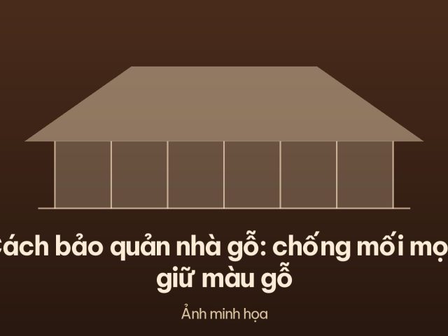Cách bảo quản nhà gỗ: chống mối mọt, giữ màu gỗ