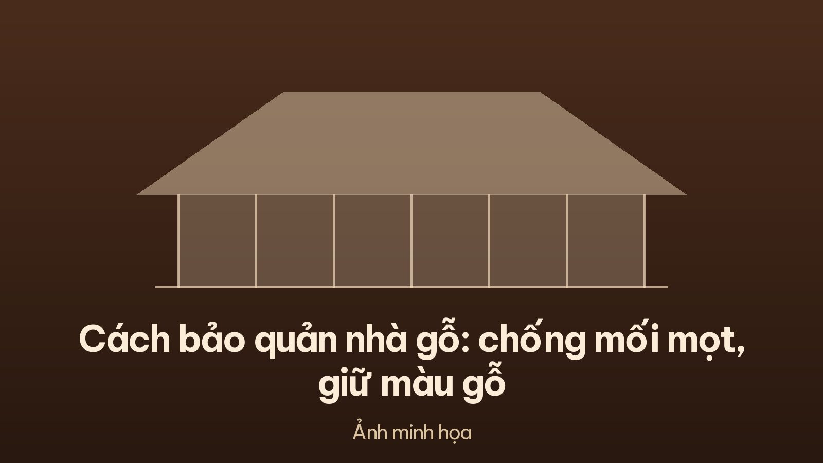 Cách bảo quản nhà gỗ: chống mối mọt, giữ màu gỗ